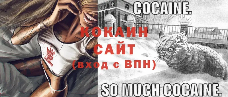 мориарти состав  Костерёво  COCAIN FishScale 